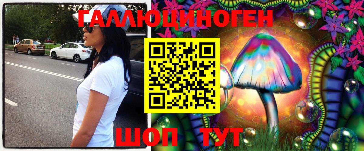 Псилоцибиновые грибы Cubensis Мирный