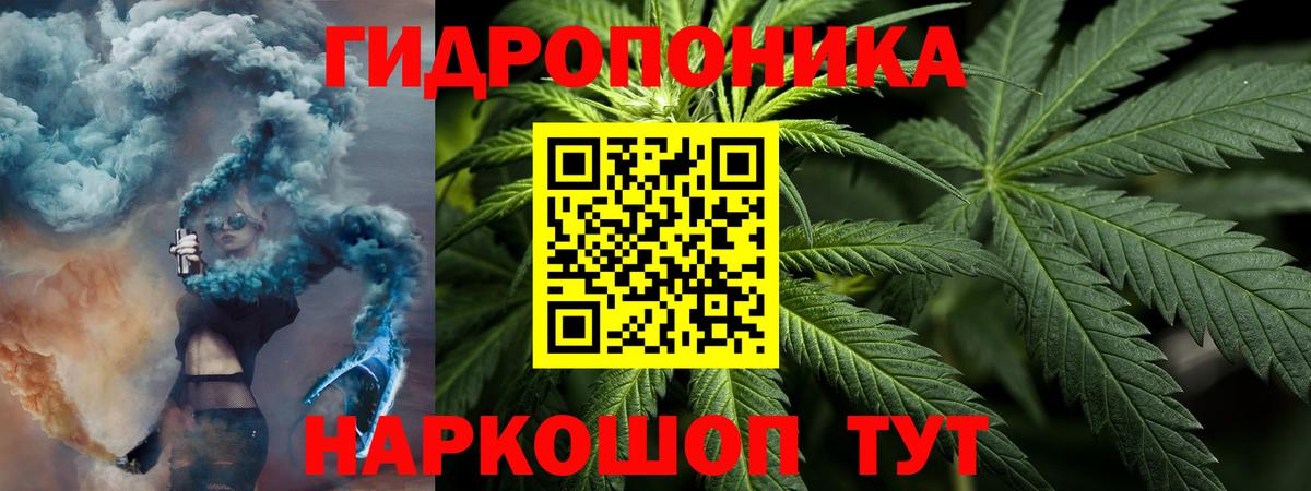 Каннабис планчик  Шишки марихуана Bruce Banner  Канабис OG Kush  Вход с VPN  Мирный 